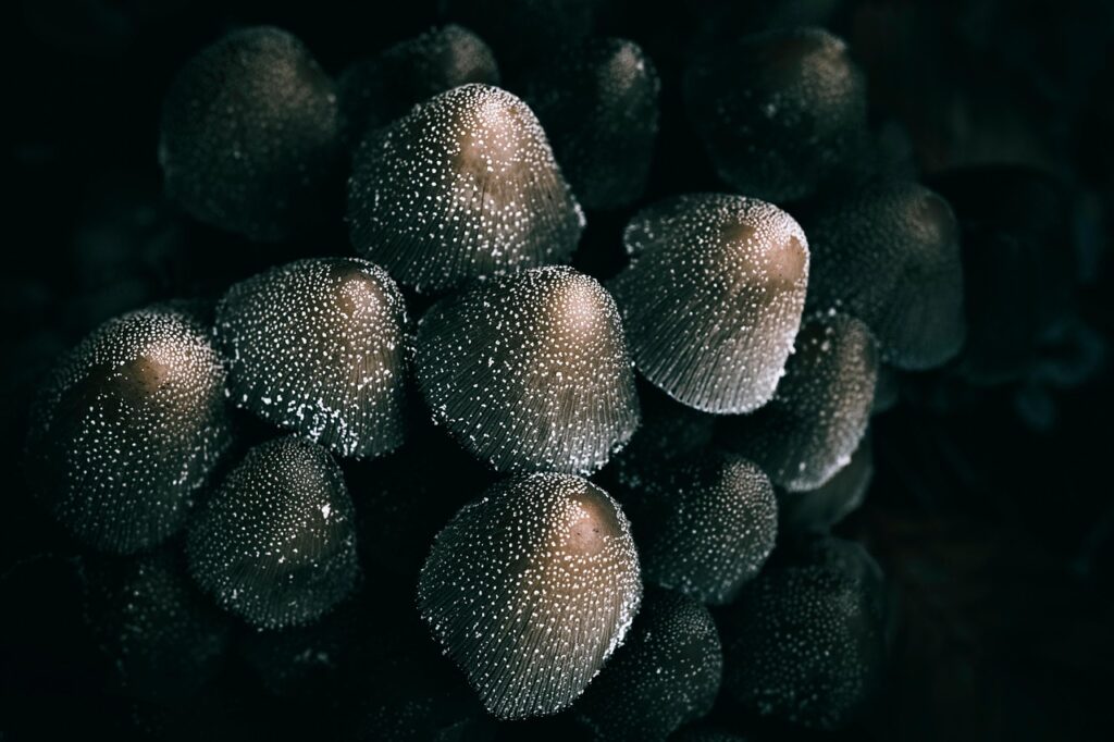 転職内定承諾後に辞退する場合の注意点は？