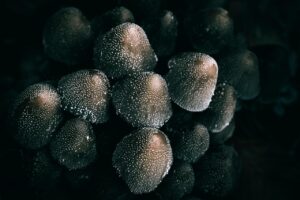 転職内定承諾後に辞退する場合の注意点は？