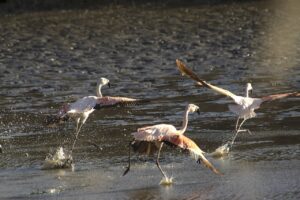 中学生の不登校の原因は何が考えられる？