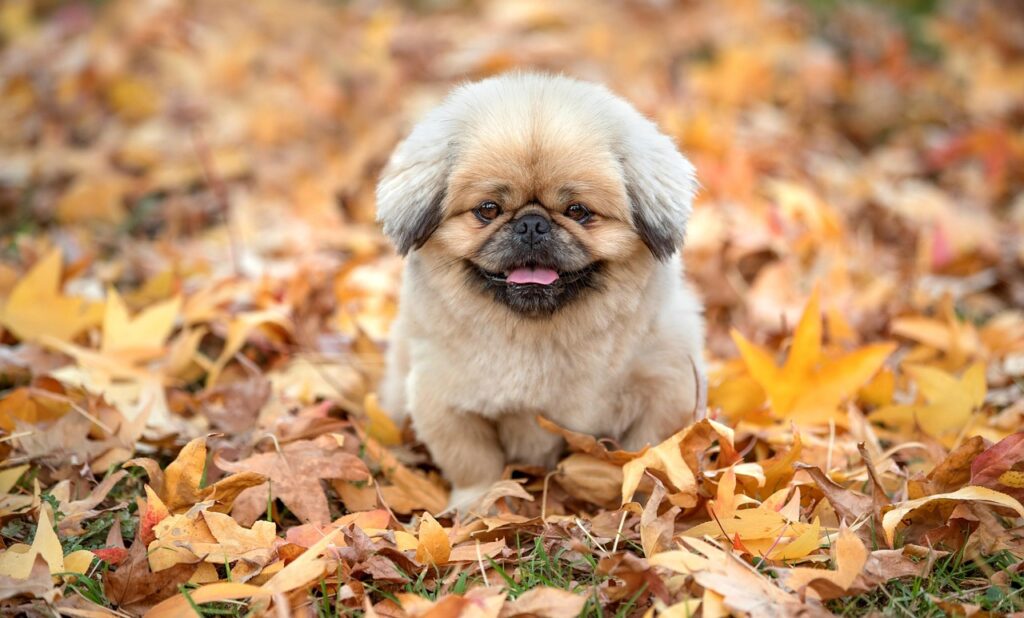 不登校の中学生が増える理由とは？