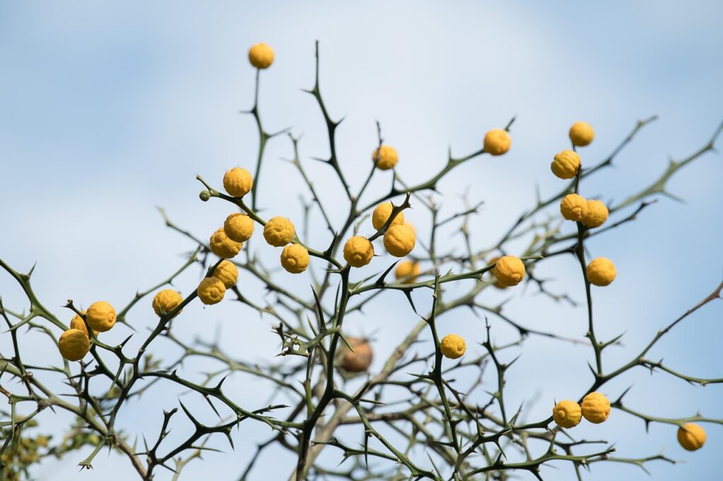 内定承諾後の辞退を転職する際の注意点は？