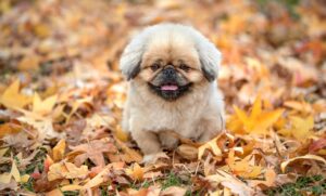 現職中とは何を意味し、どのような状況で使われるのか？