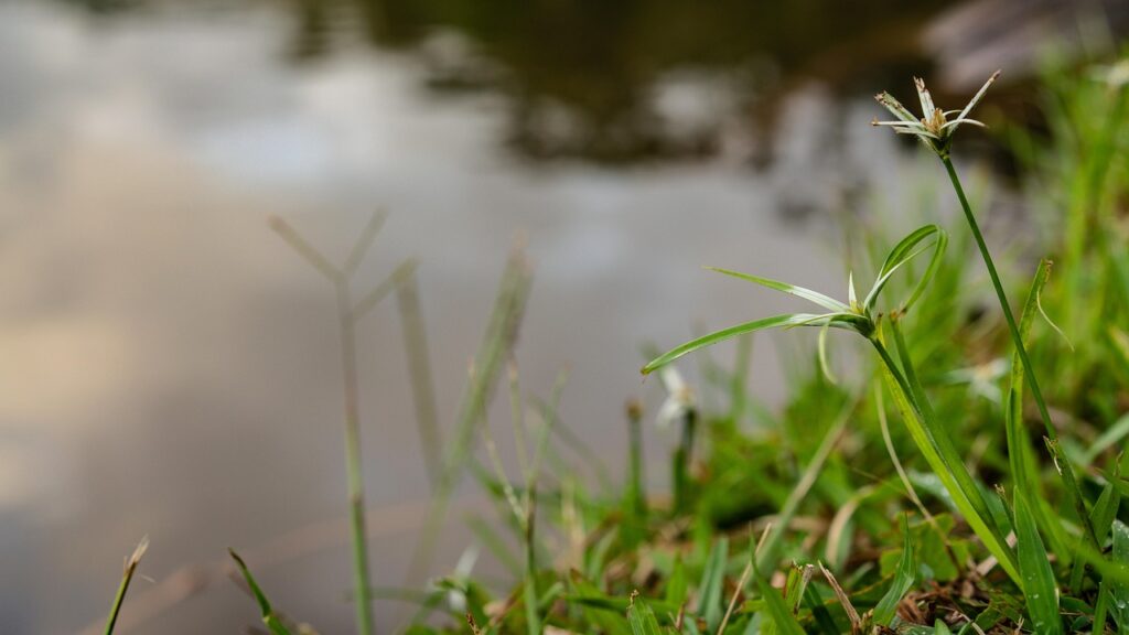 転職成功のための自己PRの例文は？