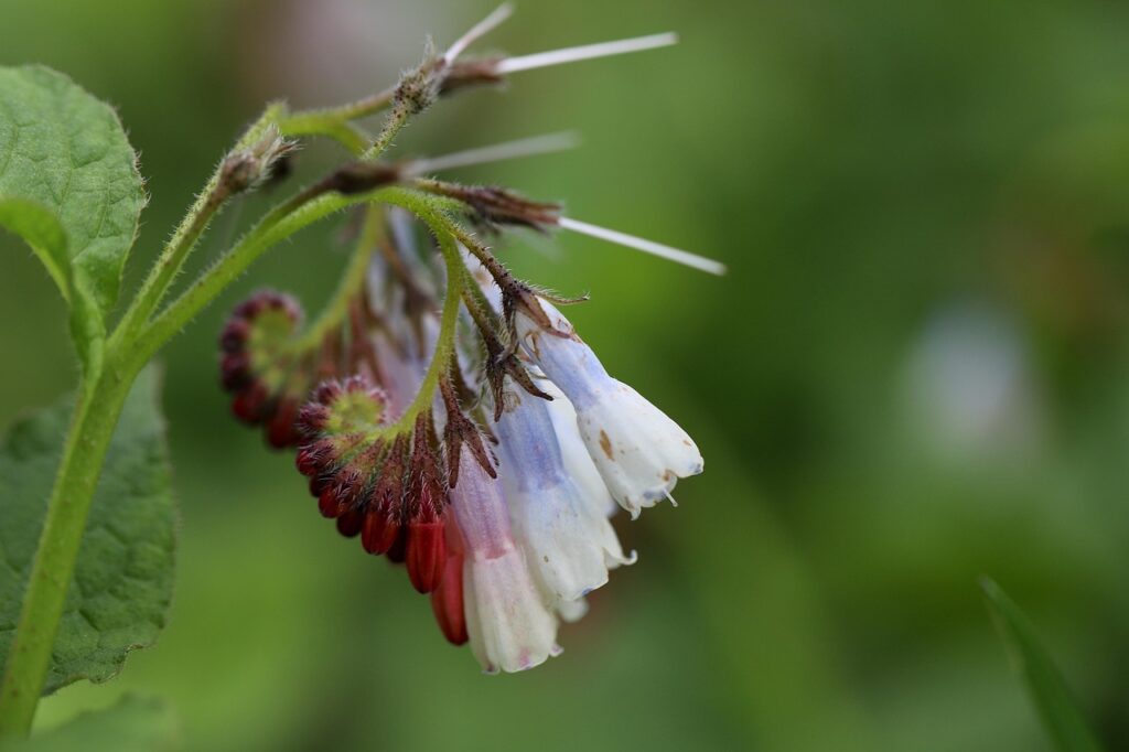 転職における平均期間はどのくらいが一般的ですか？