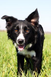 働きたくないと感じた時の対処法は？