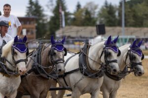 転職の理由を履歴書にどう書くべきか？