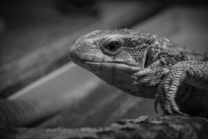 内定承諾後に辞退する理由とはどのようなものがあるのか？