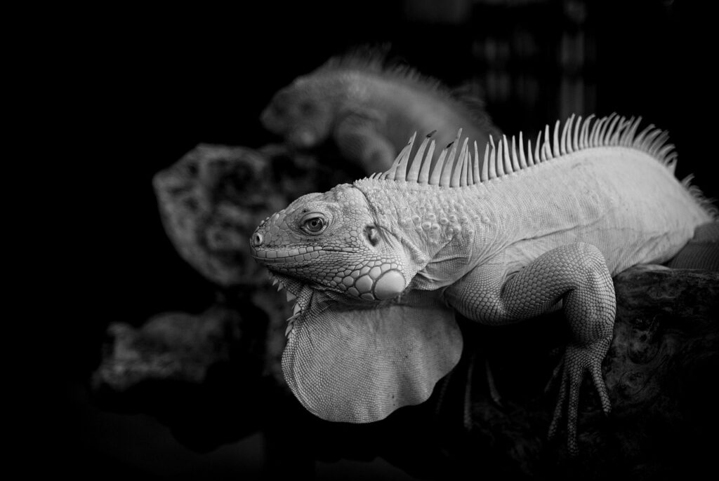 ﾜｰｸﾗｲﾌﾊﾞﾗﾝｽの具体的な例文はどのようなものがありますか？